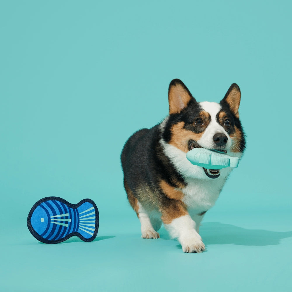 BARK Blue Rad Herring Super Chewer Dog Toy