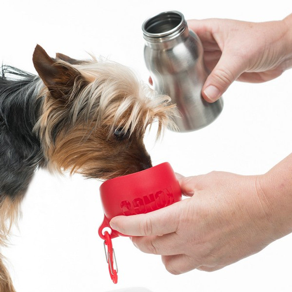 KONG H2O Stainless Steel Dog Water Bottle 280ml 4 Colours