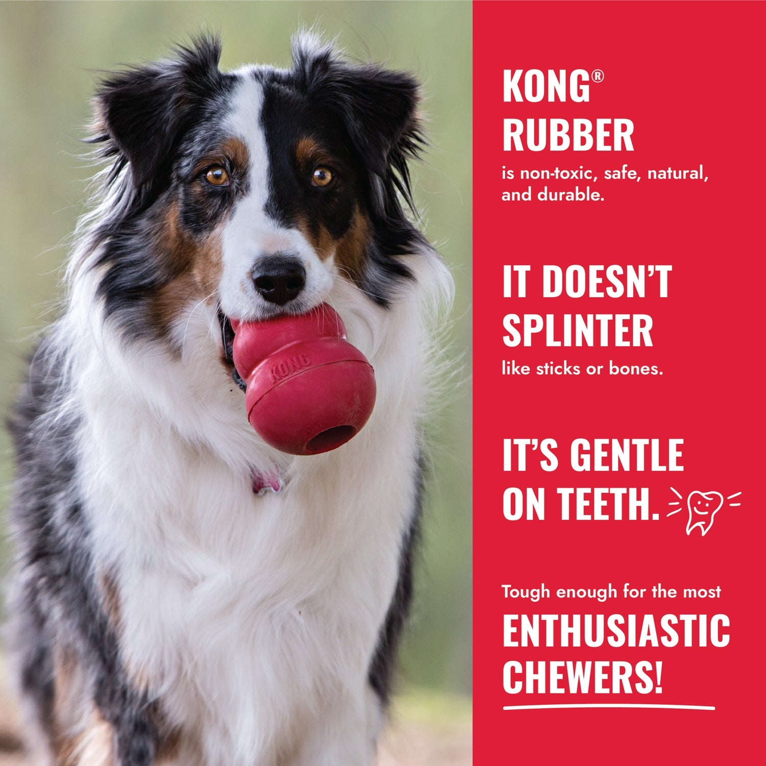 KONG Classic Gold 50th Birthday 3 Sizes