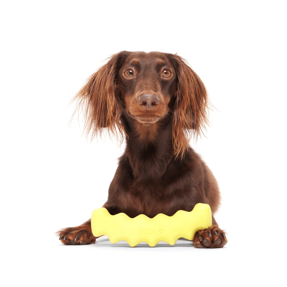 BARK Crinkle Fry Super Chewer Dog Toy