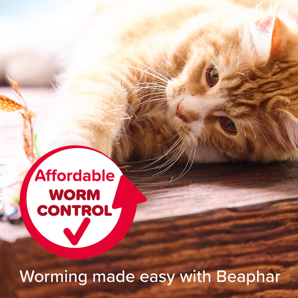 Beaphar WORMclear for Cats Worming Spot-On Solution x 2
