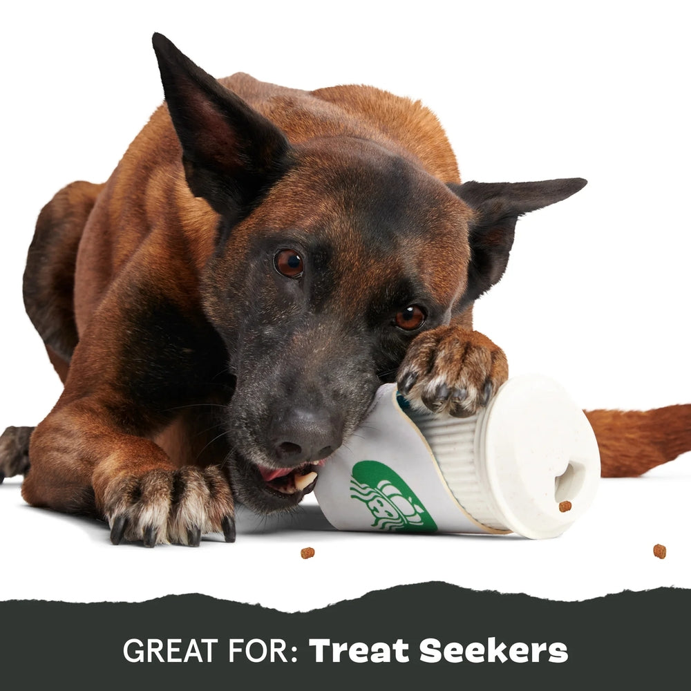 Bark Pupkin Spice Yappucino Super Chewer Dog Toy