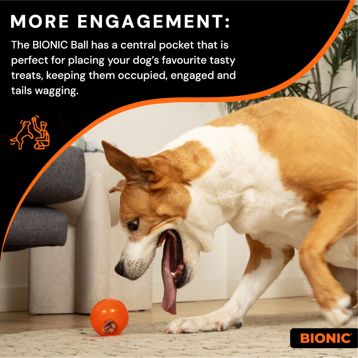 BIONIC Ball Dog Toy 3 Sizes