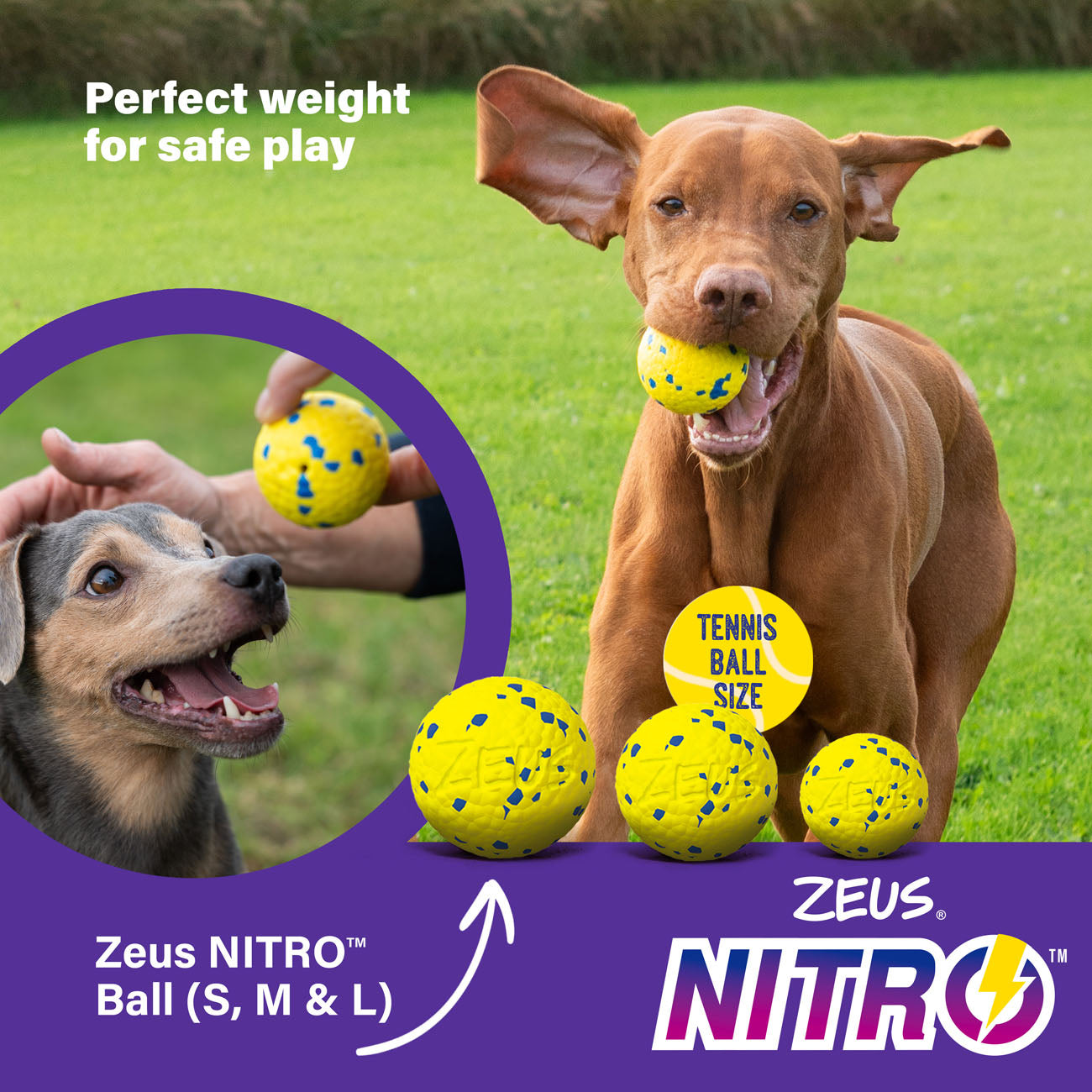 Zeus NITRO Weighted Ball Dog Toy 3 Sizes