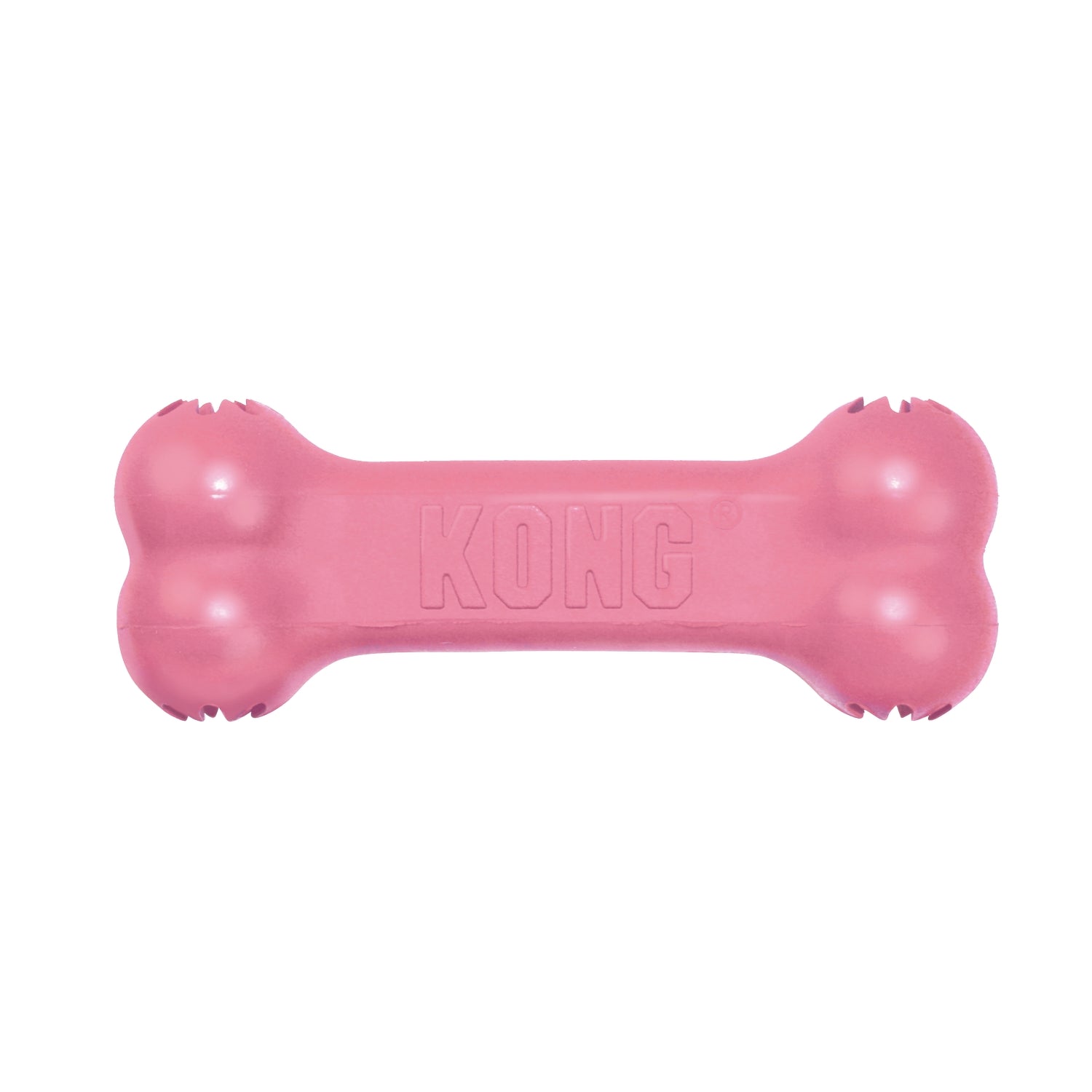 KONG Puppy Goodie Bone