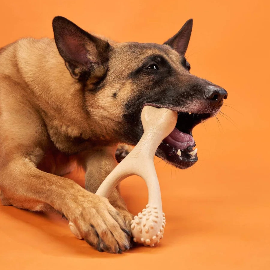 BetterBone Dog Chew Toys SOFT Durability 3 Sizes