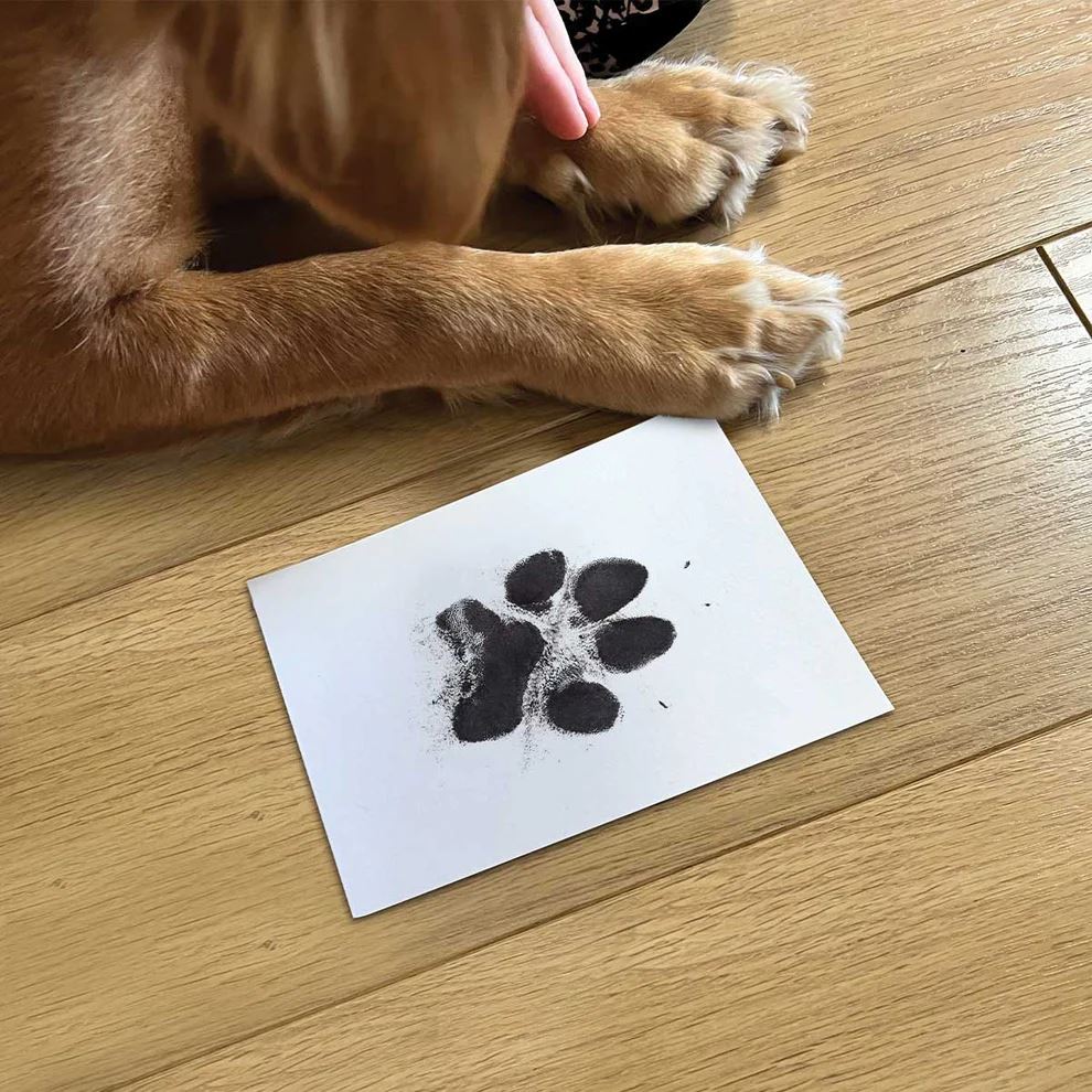 Pet Safe Non-toxic Paw Print Ink Pad Kit