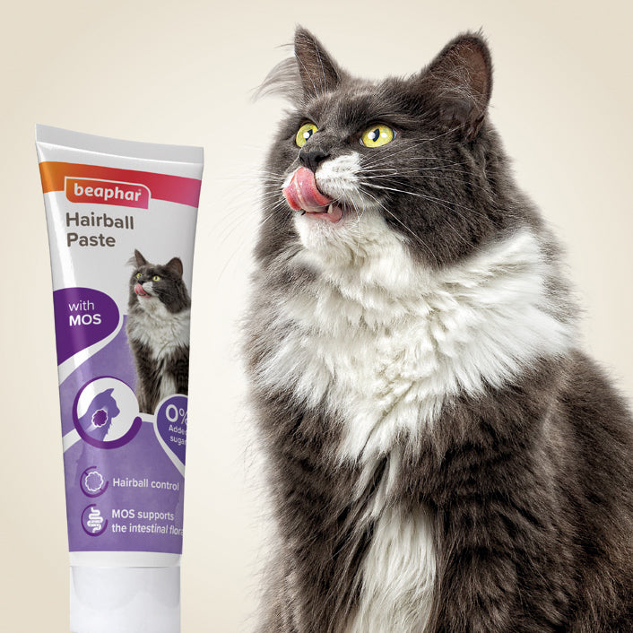 Beaphar 2 in 1 Hairball Paste for Cats 100g