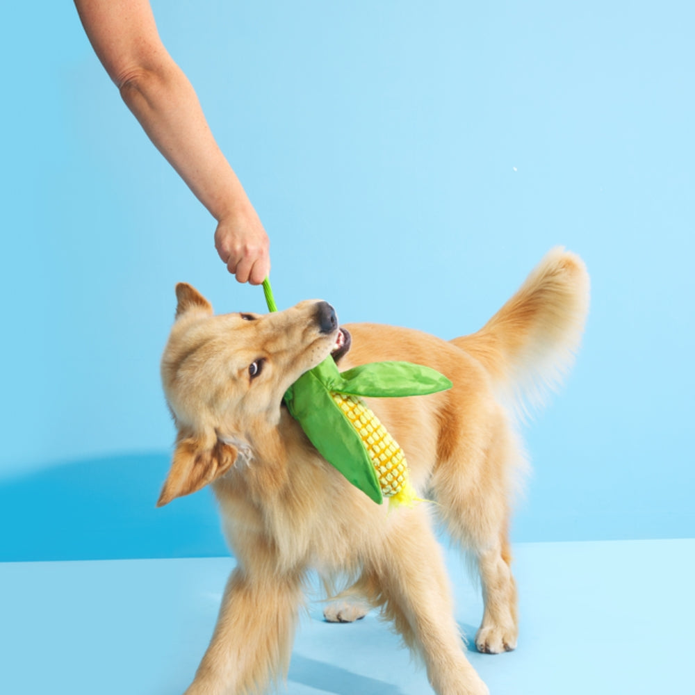 BARK Corn On The Slob Plush Rope Dog Toy