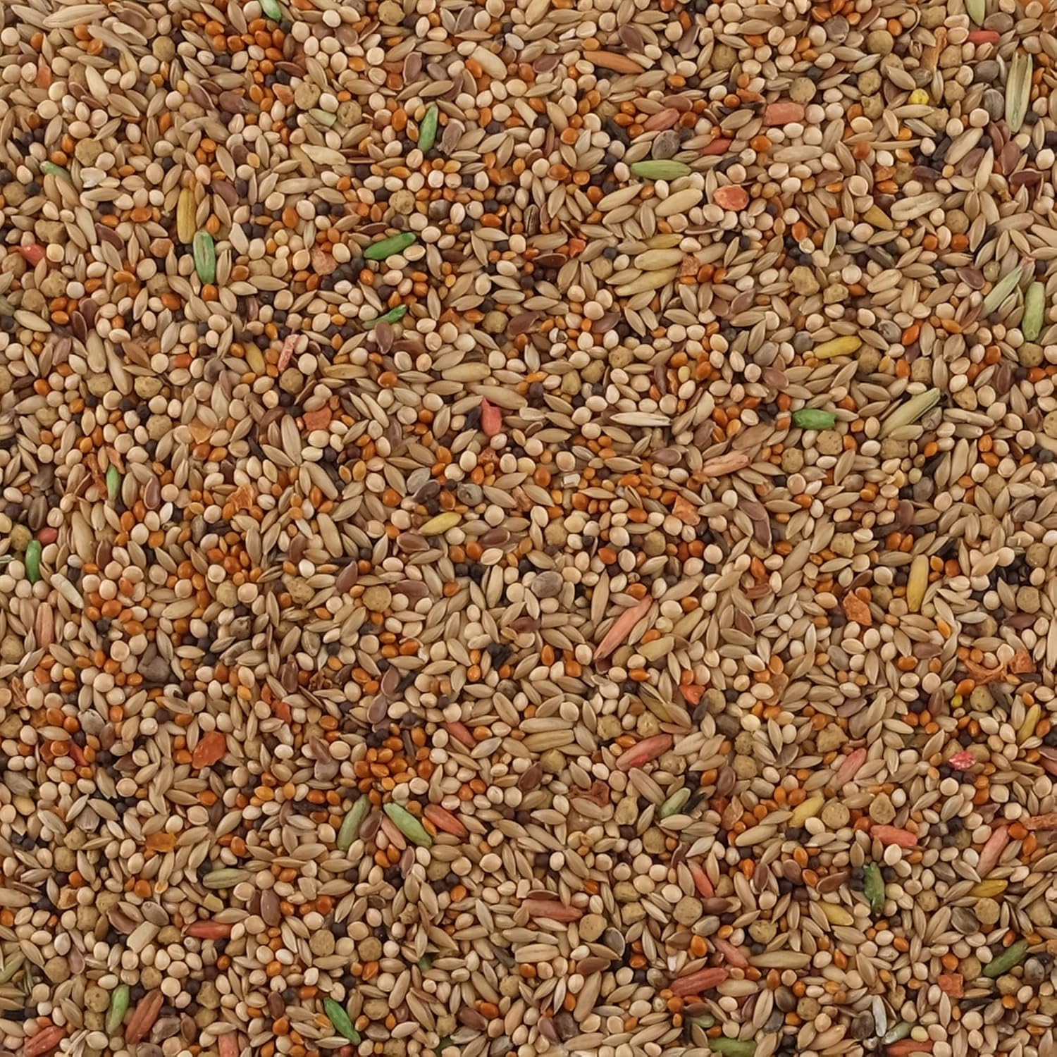 Living World Premium Seed Mix Budgies 908g