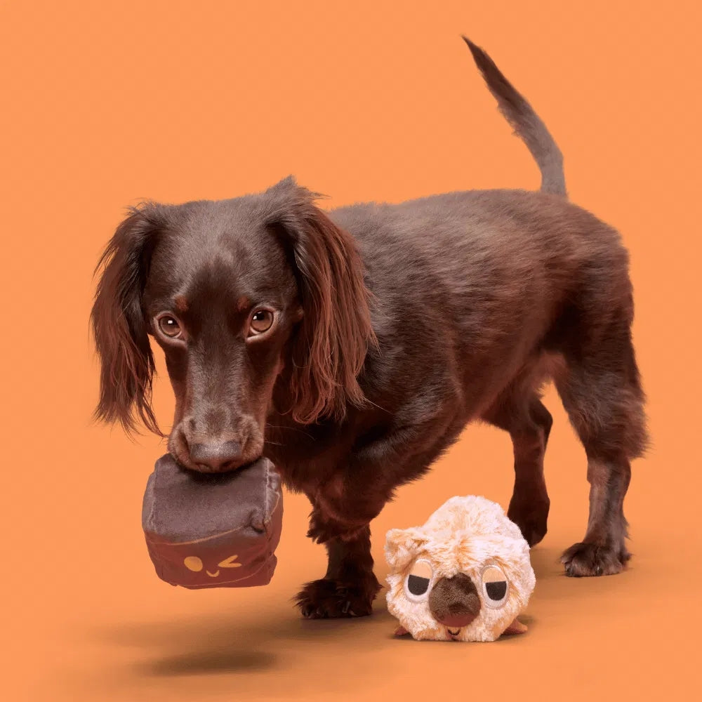 BARK Walken Wombat Australian Outbark Dog Toy