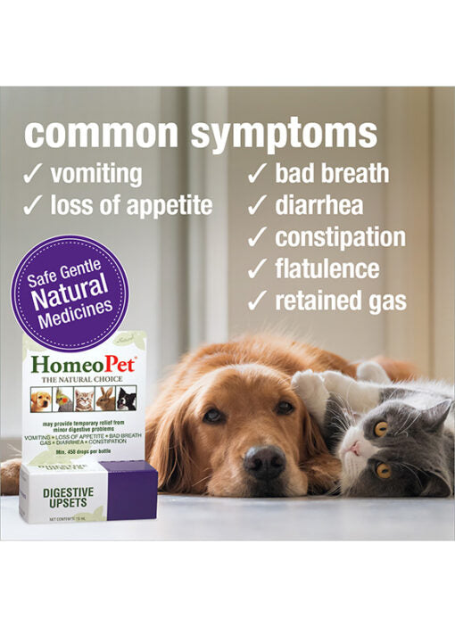 HomeoPet Digestive Upsets 15ml