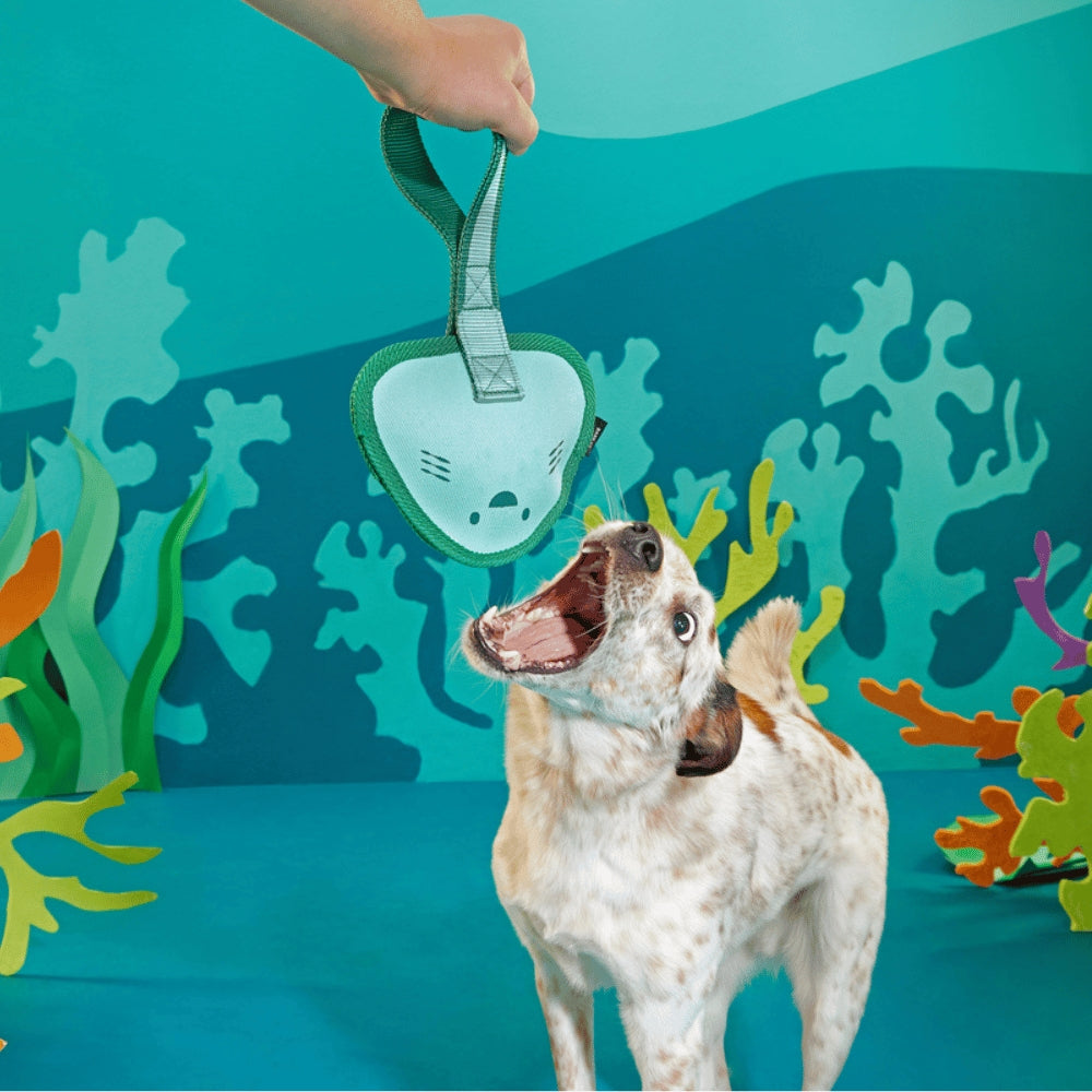 Bark Flingray Super Chewer Dog Toy