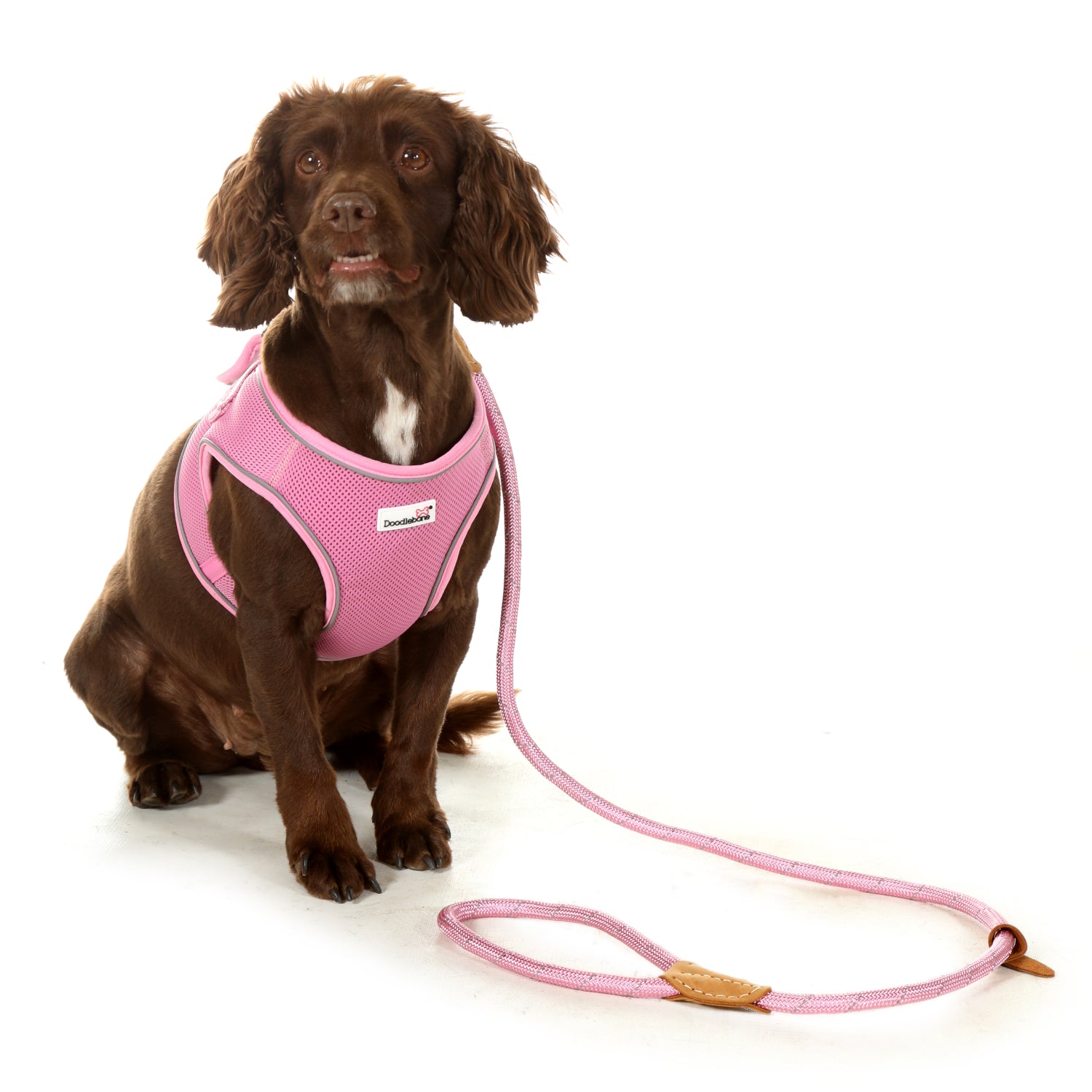 Doodlebone Originals Rope Lead 1.2m Blush