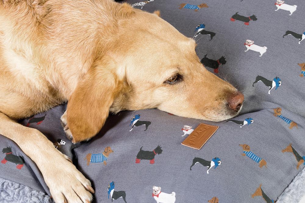 Danish Design FatFace Deep Duvet Mattress Marching Dogs 2 Sizes