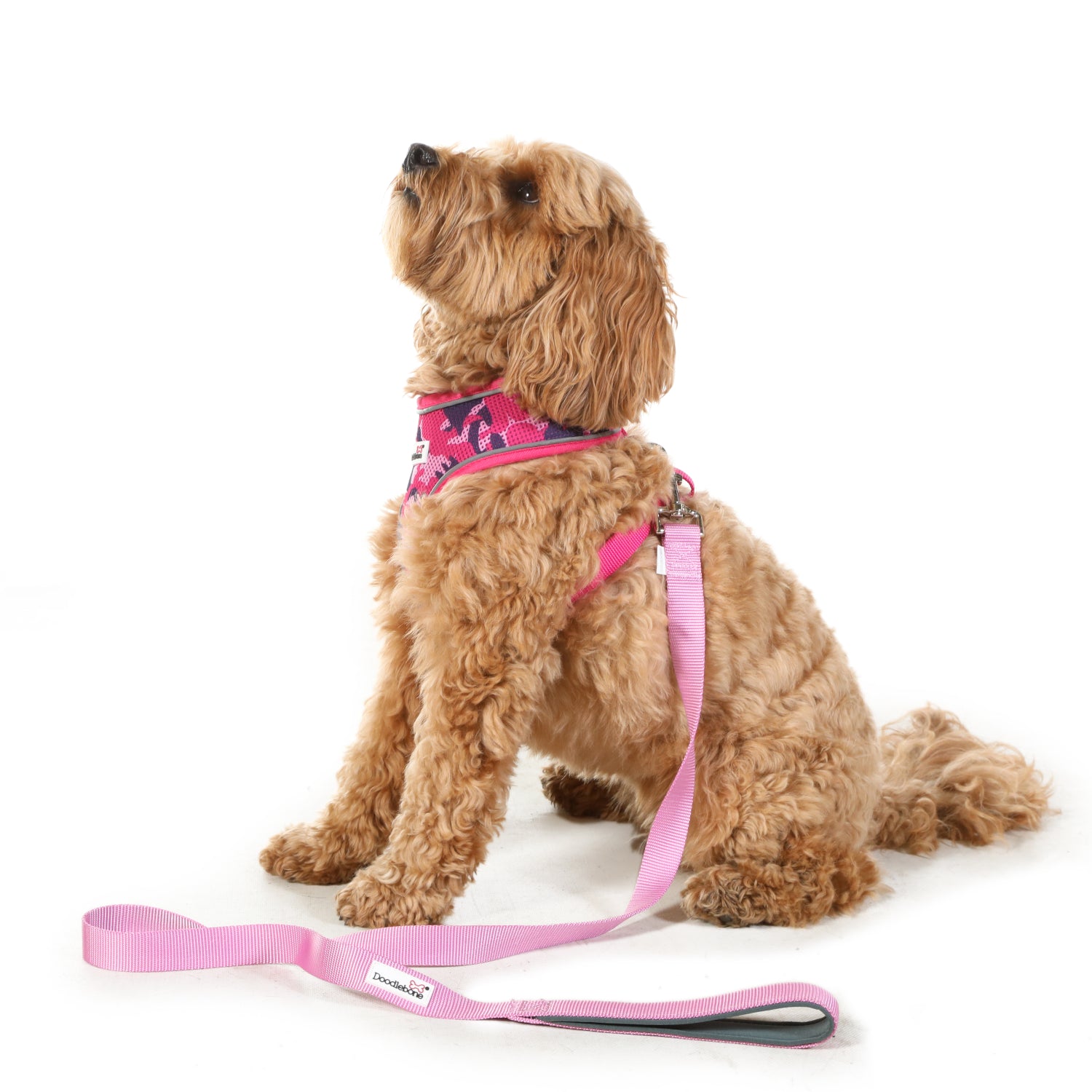 Doodlebone Originals Dog Lead 1.2m Ruby 3 Sizes