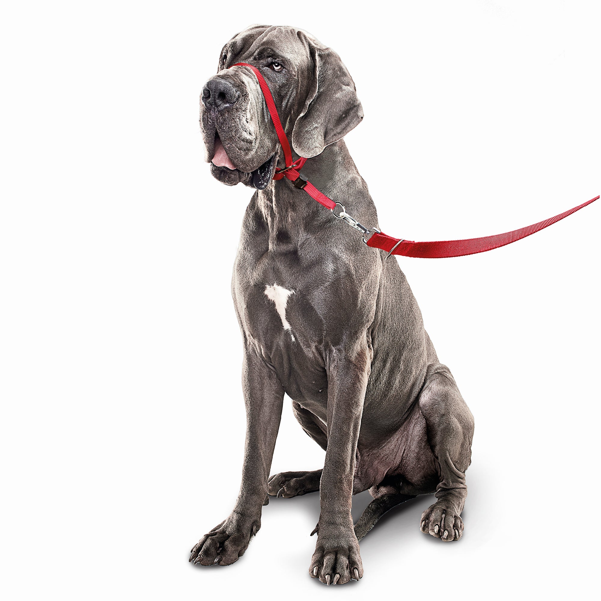 Beaphar Gentle Leader Head Collar Dog Lead STOPS Pulling Red 3 Sizes