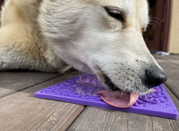 Sodapup EMAT Licking Enrichment Mat Bones 2 Colours