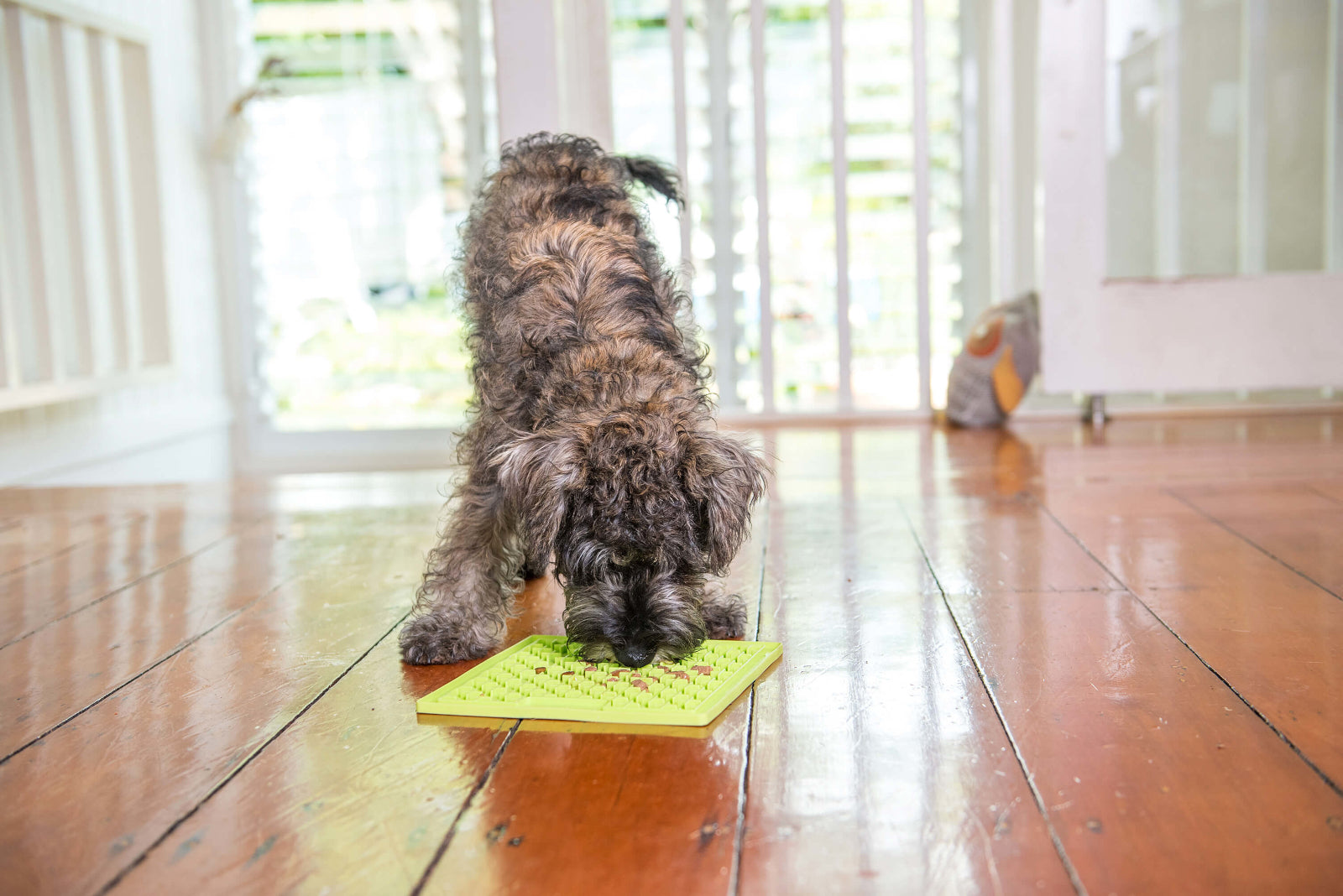 LickiMat Dog Lick Mats Slow Feeders Buddy Large 3 Colours