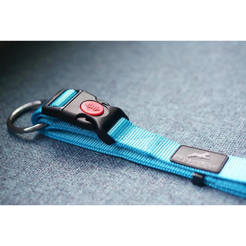 Miro & Makauri Belay Nylon Safety Dog Collars Cyan 4 Sizes