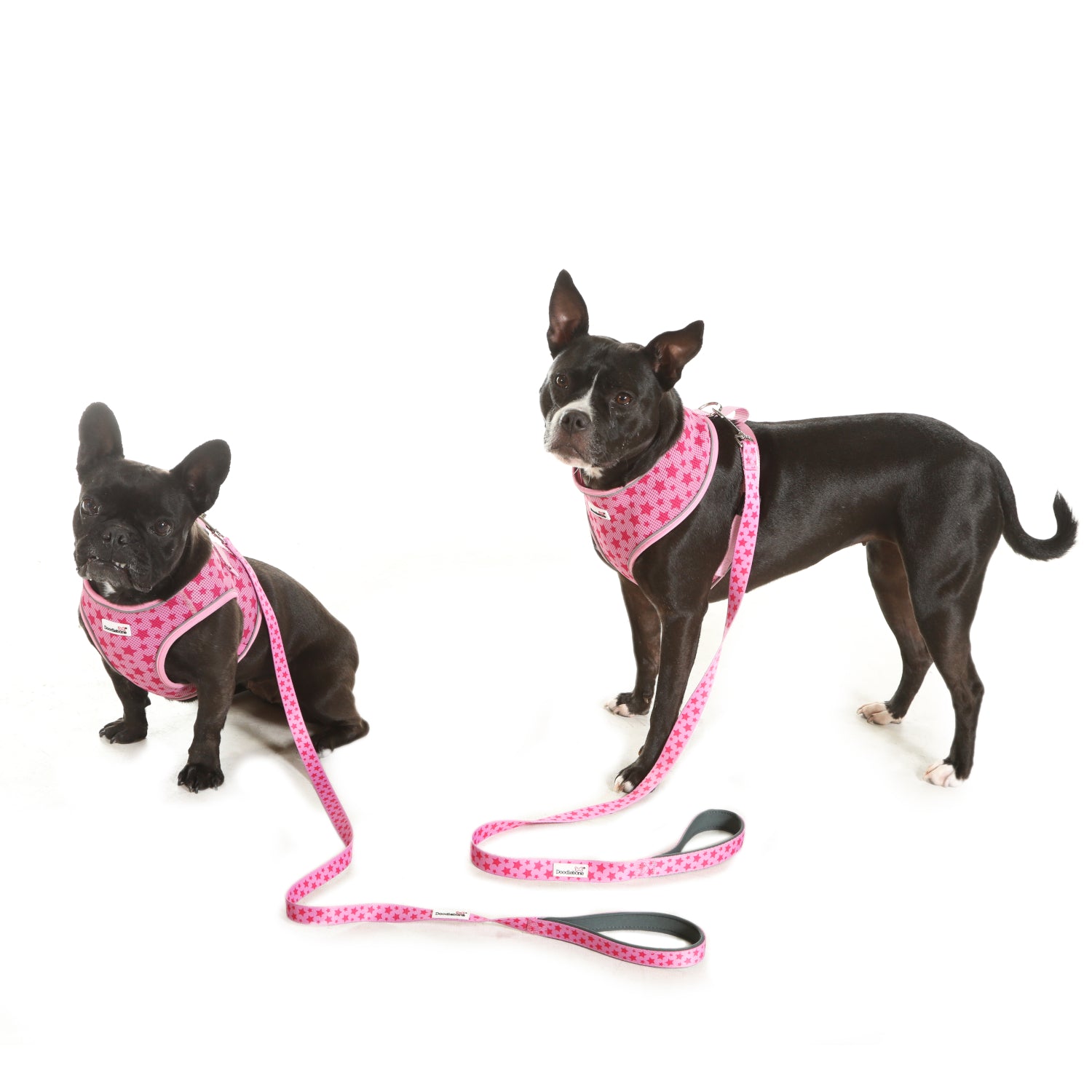 Doodlebone Originals Dog Lead 1.2m Fuchsia 3 Sizes