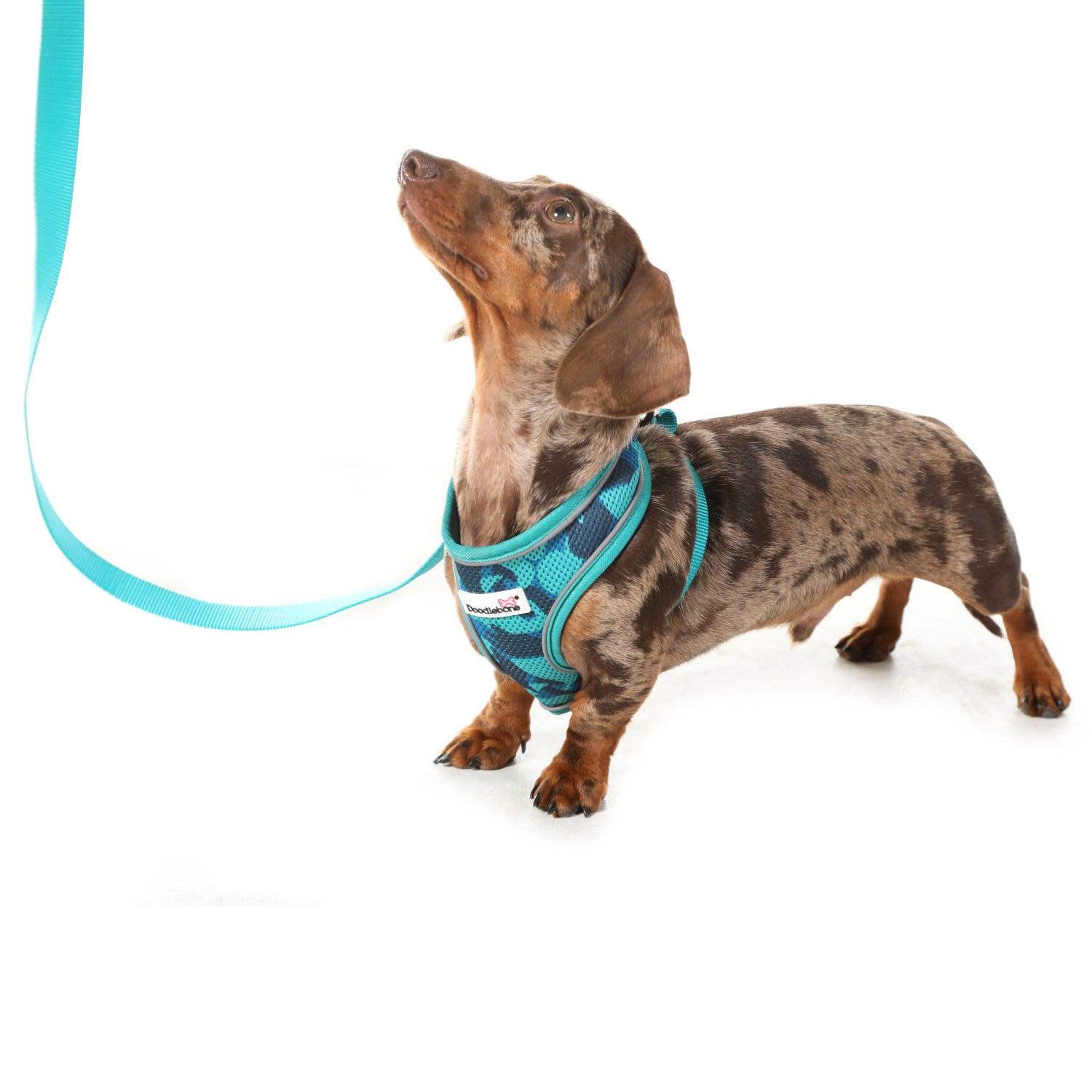 Doodlebone Originals Dog Lead 1.2m Aqua 3 Sizes