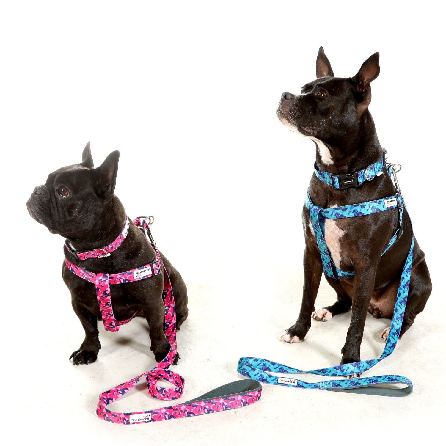 Doodlebone Originals Dog Lead 1.2m Fuchsia 3 Sizes