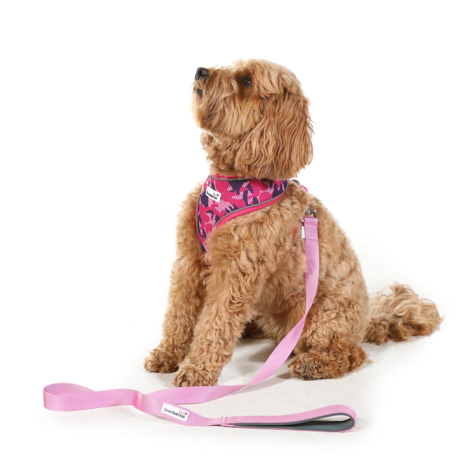 Doodlebone Originals Dog Lead 1.2m Fuchsia 3 Sizes