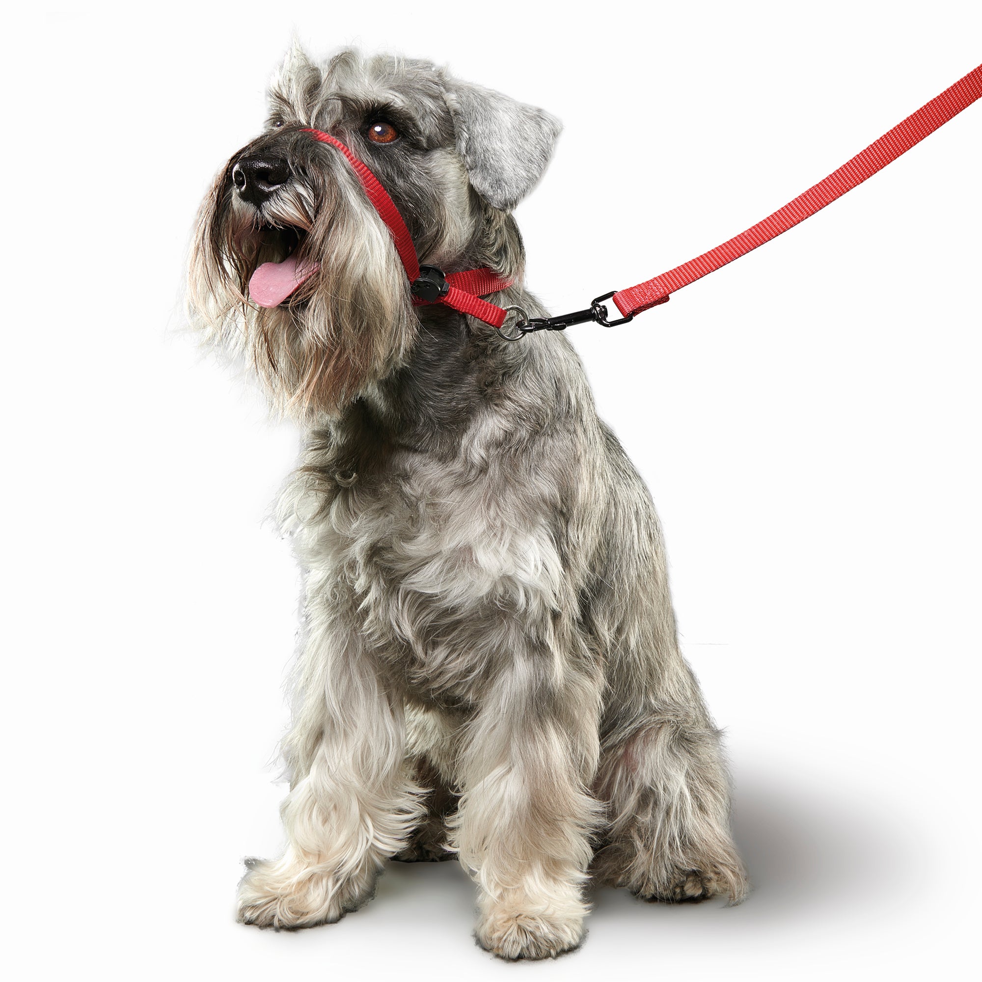 Beaphar Gentle Leader Head Collar Dog Lead STOPS Pulling Red 3 Sizes